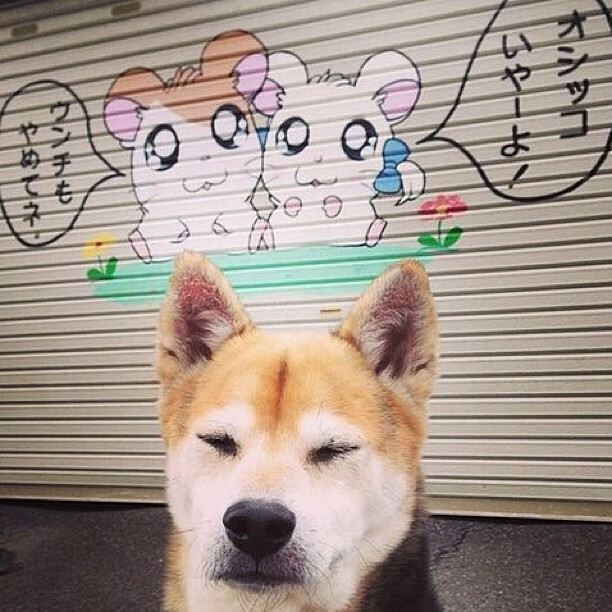 龙吟戛然而止，当马龙的剑锋遇上法兰西的秒针