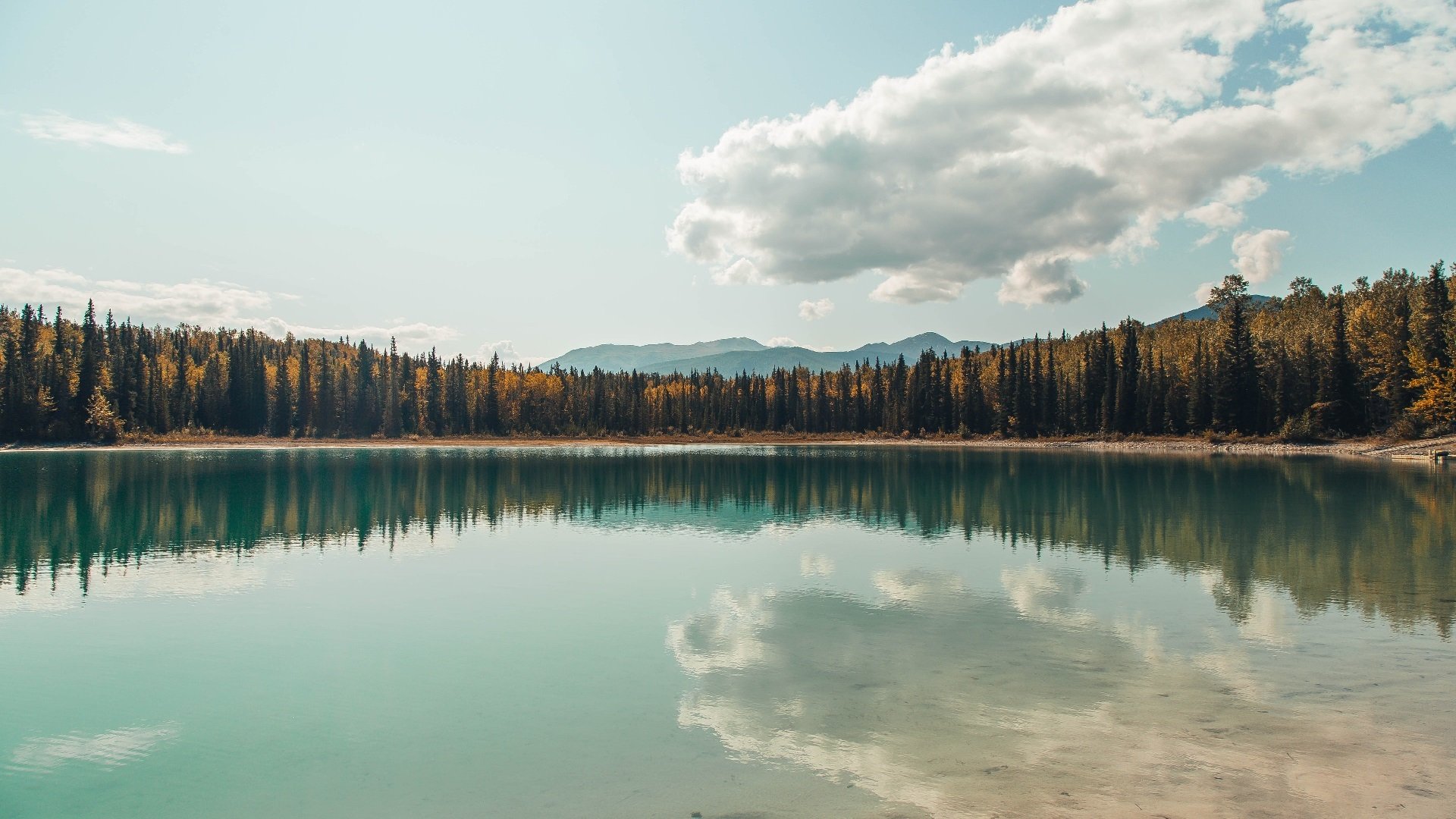 利刃出鹈，纽约夜未央—利拉德末节17分导演逆转好戏