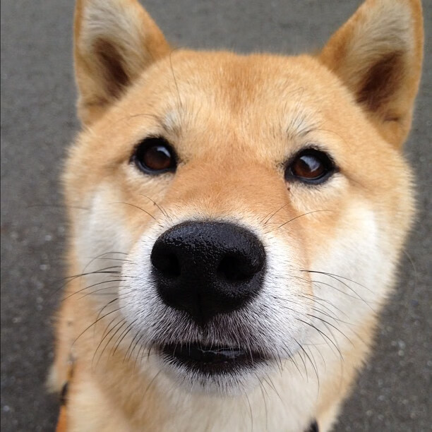 佩德里艺术闪光击碎钢铁防线，乌克兰式高压足球哲学震撼比利亚雷亚尔