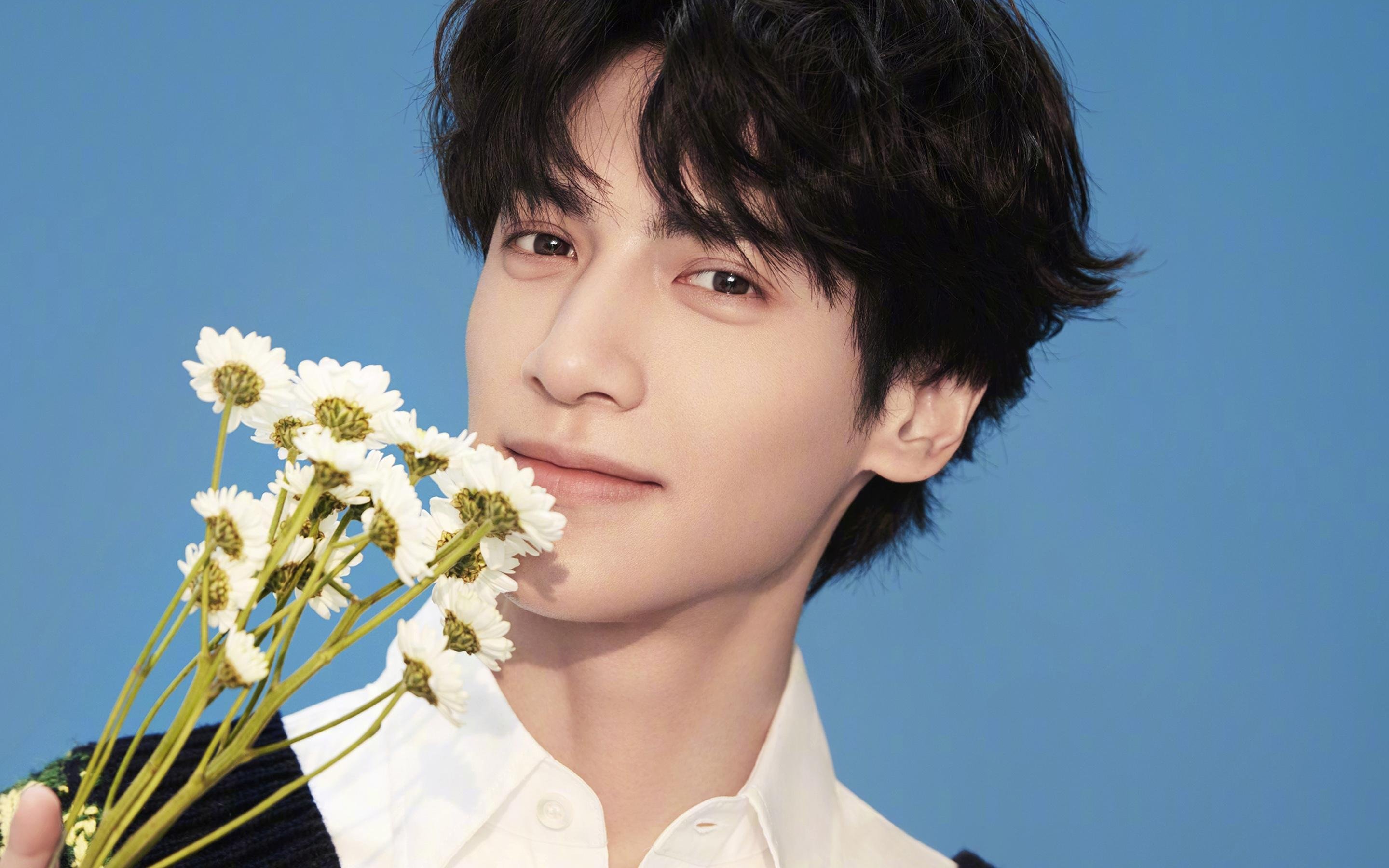 范氏催化剂,范弗利特如何驱动黄蜂蛰伤热火