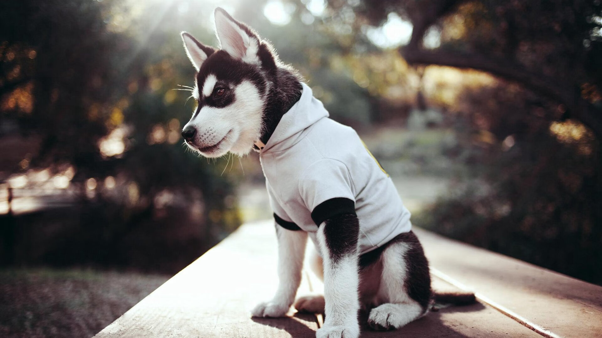 当美加墨的星光照亮克利夫兰，骑士世界杯级胜利启示录