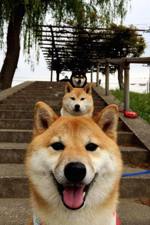 王者归来，西决生死夜，勒布朗的自我救赎