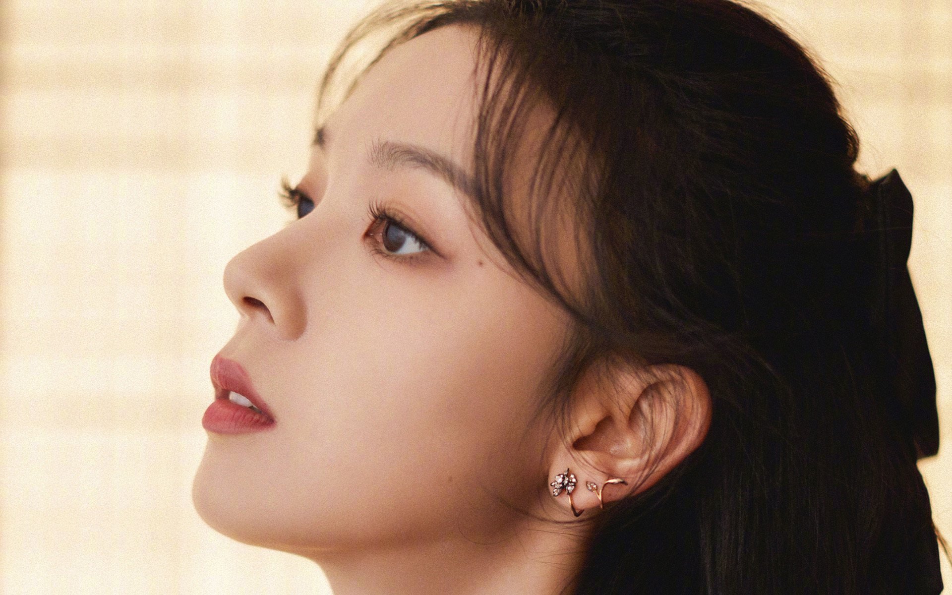 选项（供您选择）