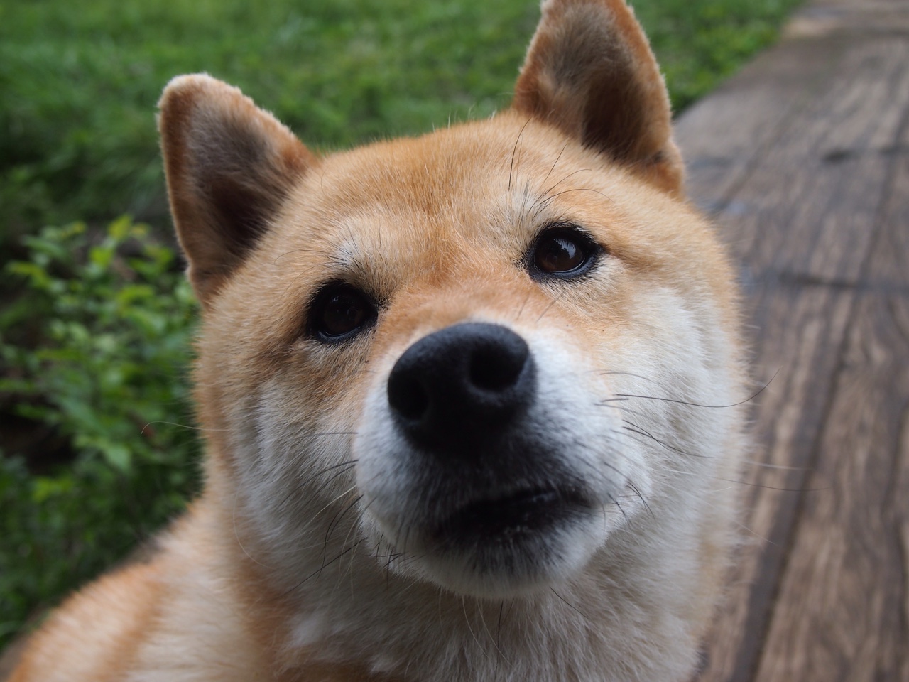 全能核心！厄德高12次夺回球权，比利时式绞杀让利物浦窒息