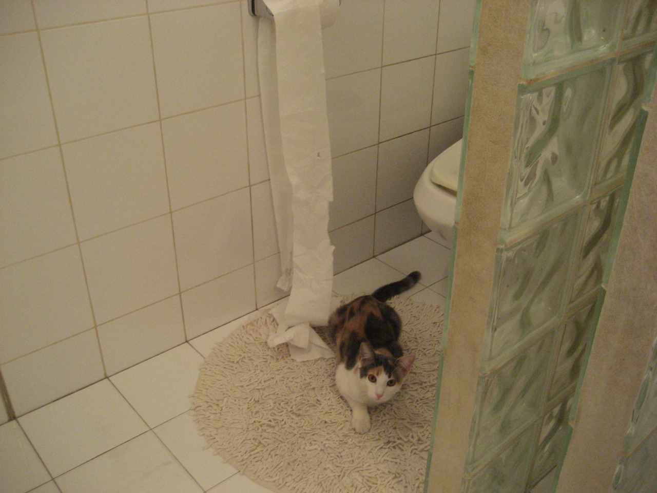 混沌与星辰，当冷门邂逅传奇