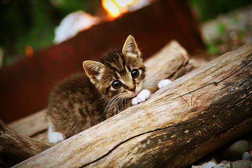 棋盘上的亚得里亚海风暴，克罗地亚战术如何锁死那不勒斯，皮克接管世界排名争夺战
