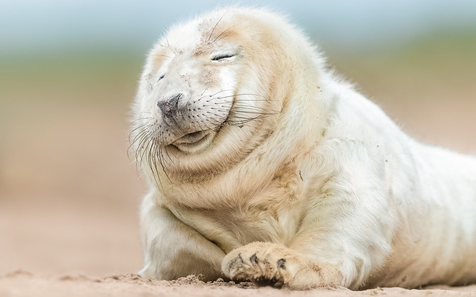 逆流高歌，浓眉在美洲大陆中央划破长夜