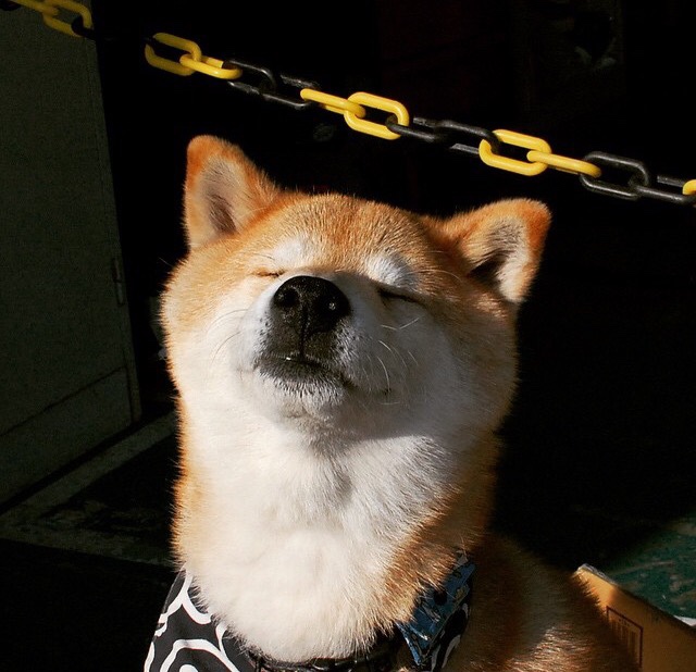 萨内的一夜封神,哥斯达黎加对阵洪都拉斯的雨战中,一个天才完成自我救赎