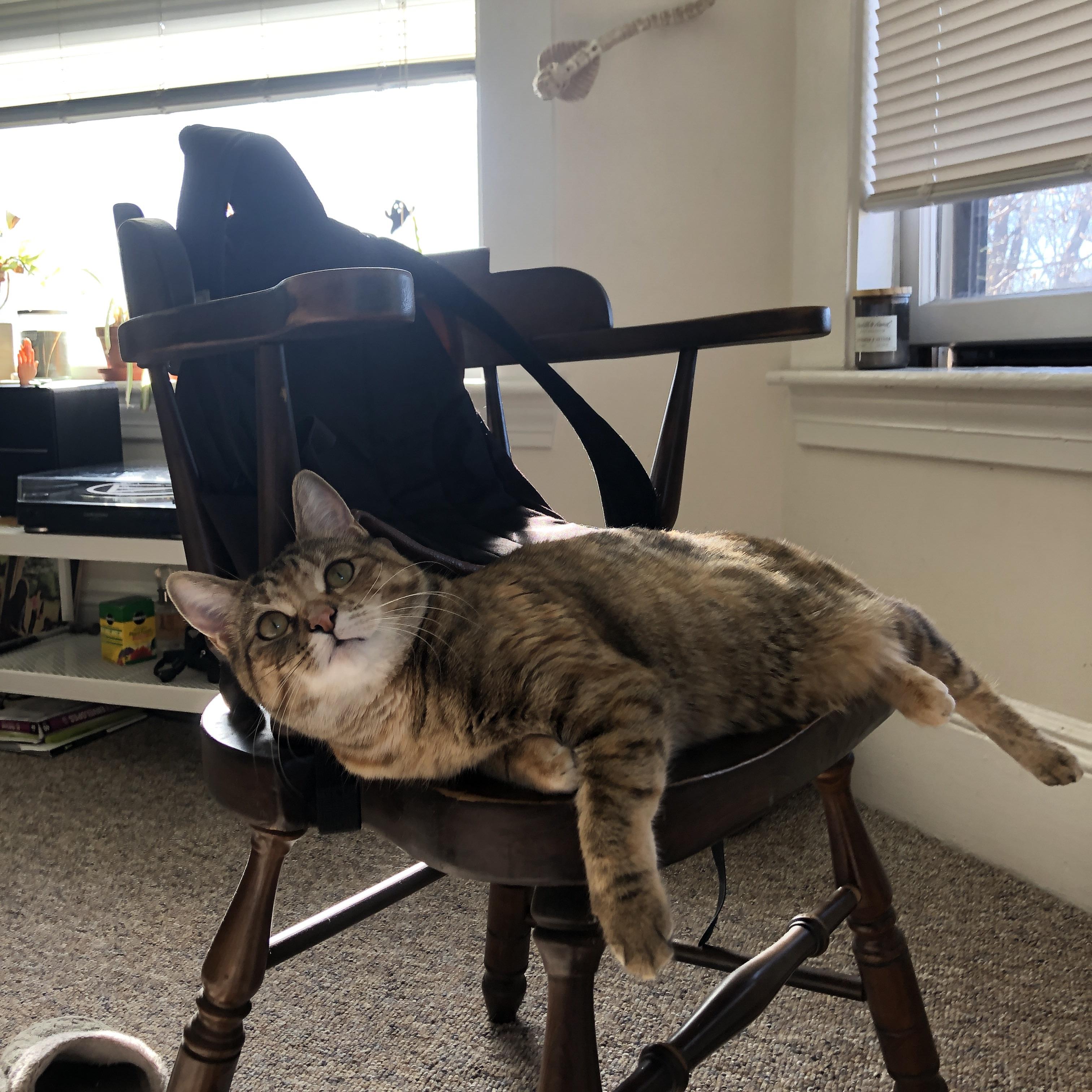 跨界证明，NBA总决赛之夜，哈兰德在焦点战中震撼世界