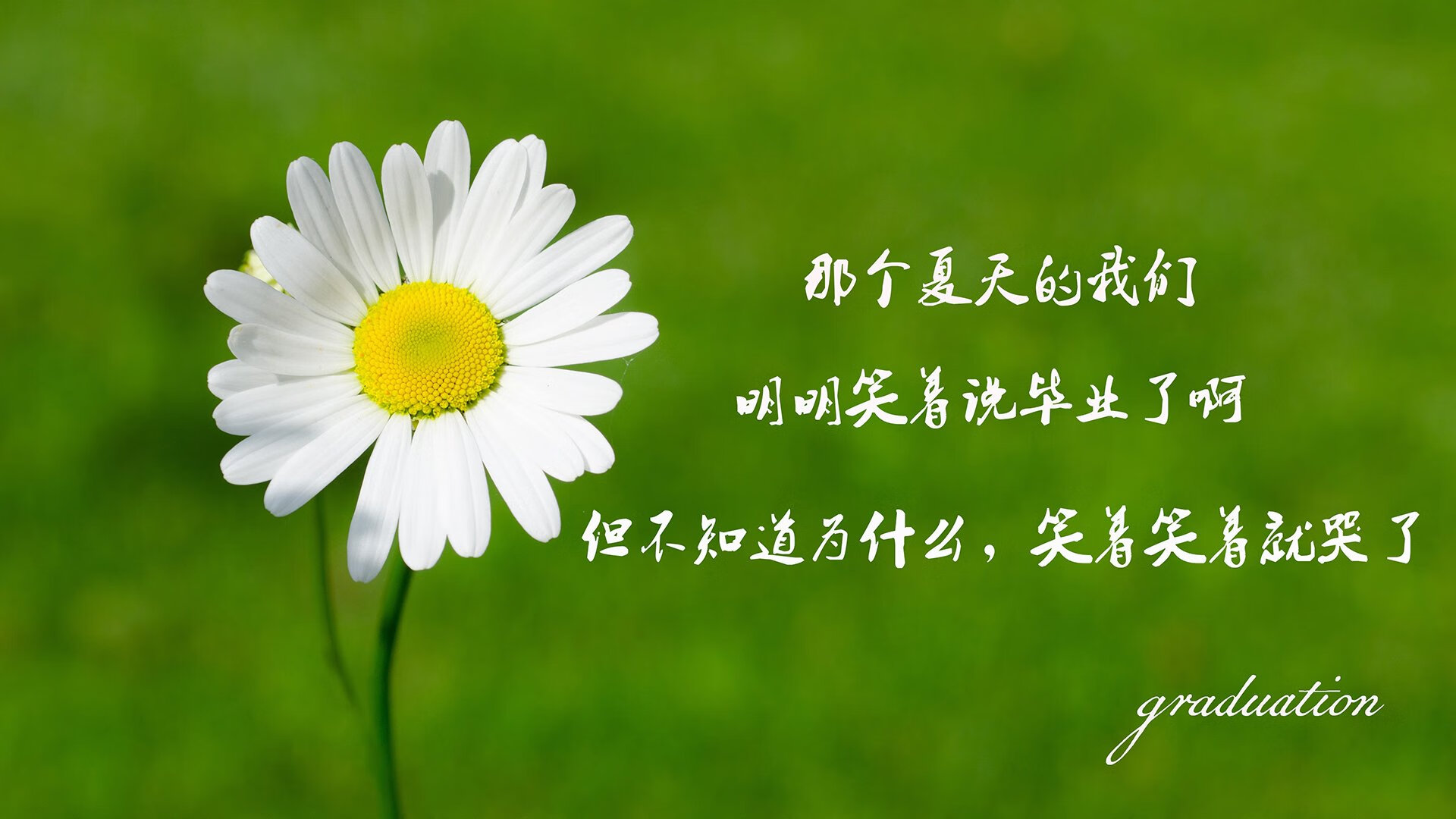 提前的法兰西烟花，当克瓦拉茨赫利亚在抢七之夜为国际米兰画上句号
